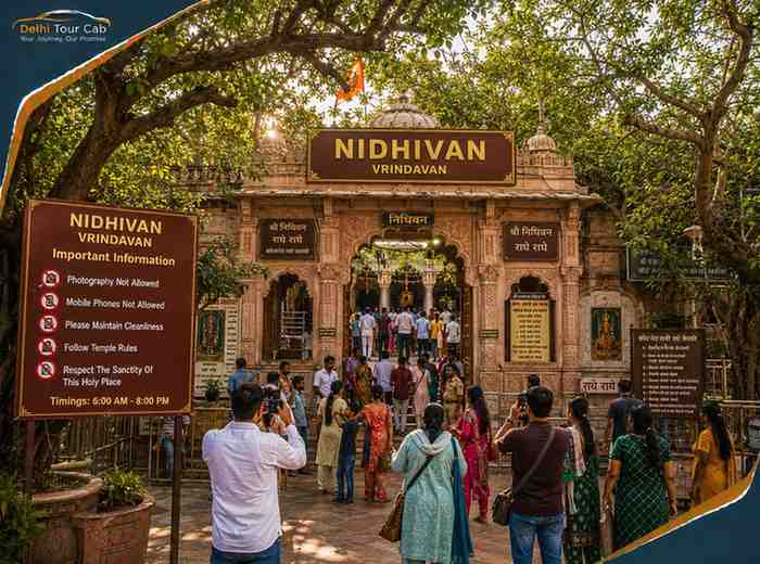 Nidhivan, Vrindavan